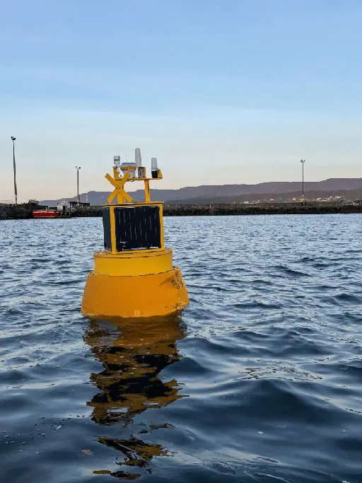 EMS Mini Buoy